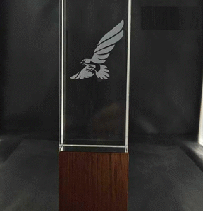 Crystal with wooden awards