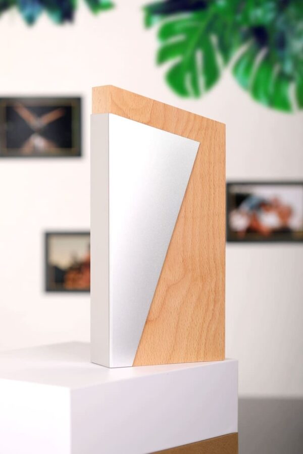 TIRANA - Waste-to-Wins® Recycled Aluminum / Wood Award - Image 3